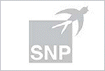 SNP Schneider-Neureither & Partner AG